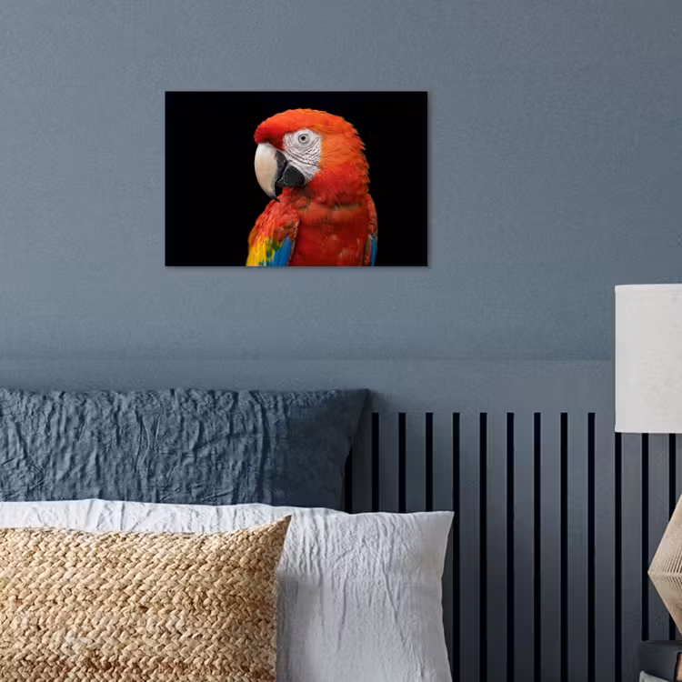 Ara - Portret - Rood poster papier klein -sfeer2