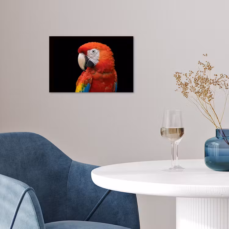 Ara - Portret - Rood poster papier klein -sfeer3