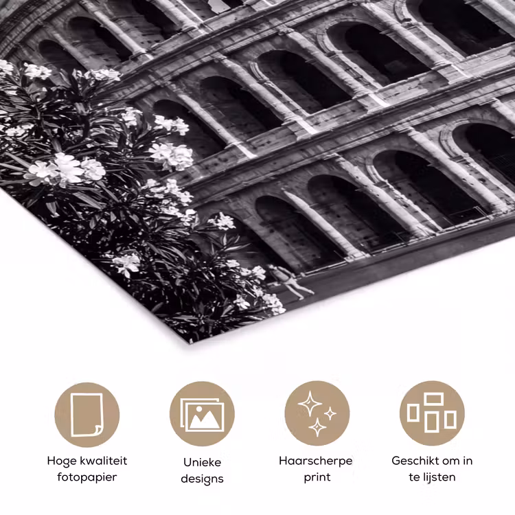 Architectuur - Colosseum - Rome - Historisch - Zwart-wit poster papier klein -closeup_NL