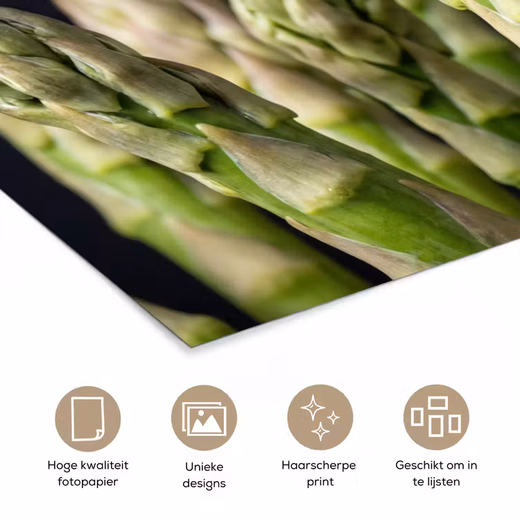 Asperges - Groen - Zwart poster papier klein -closeup_NL