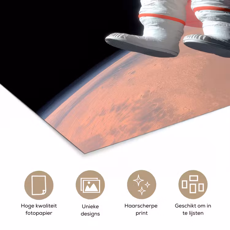 Astronaut - Flamingo - Zwemband - Roze poster papier klein -closeup_NL