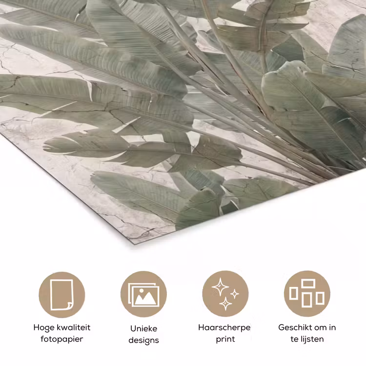 Bananenbladeren - Beton - Groen poster papier klein -closeup_NL
