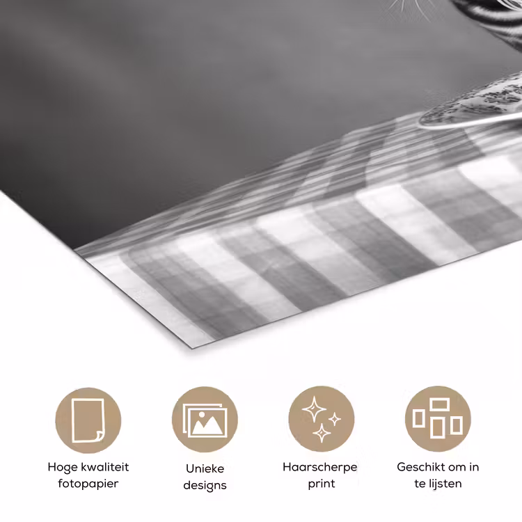 Bengaal - Kat - Tafelkleed - Zwart - Wit - Dier poster papier klein -closeup_NL