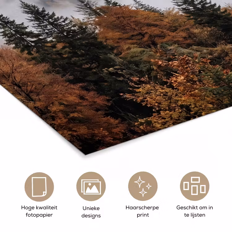 Bergen - Vallei - Mist - Herfst - Natuur poster papier klein -closeup_NL