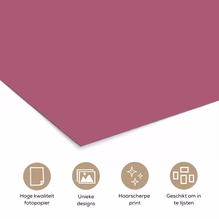 Berry - Roze -Pink poster papier klein 62 -closeup_NL