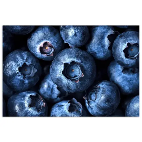 Bessen - Blauw - Fruit poster papier klein -3d
