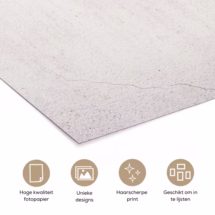 Beton - Muur - Wit poster papier klein -closeup_NL