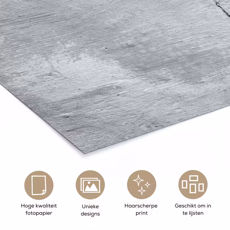 Beton - Scheur - Grijs poster papier klein -closeup_NL