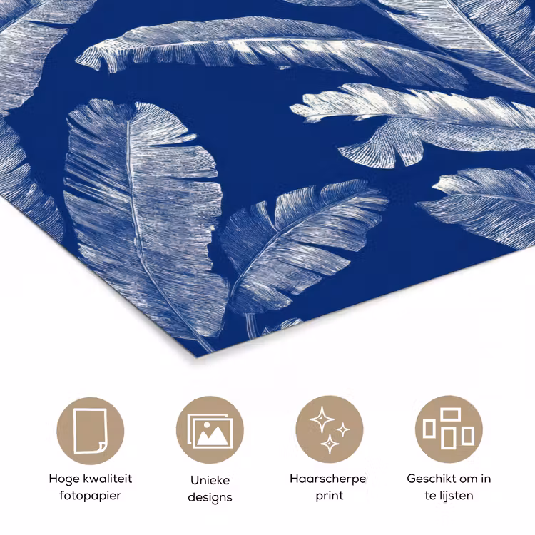 Blad - Palm - Blauw poster papier klein 62 -closeup_NL