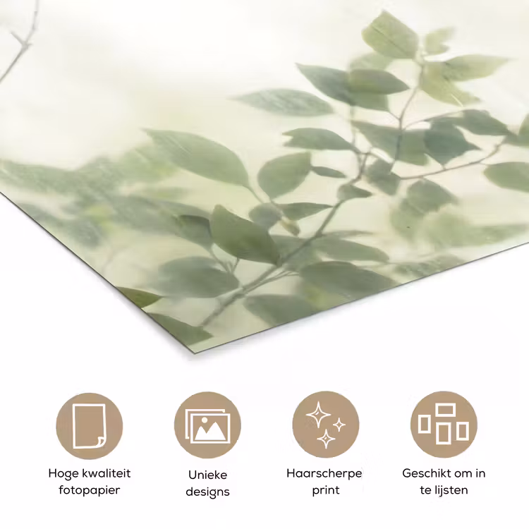 Blad - Schaduw - Natuur - Abstract - Groen poster papier klein -closeup_NL