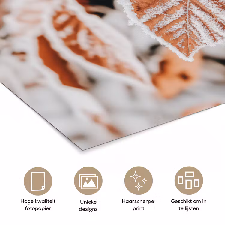 Bladeren - IJs - Winter - Natuur poster papier klein -closeup_NL