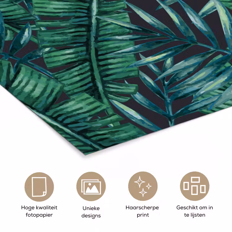Bladeren - Tropisch - Jungle - Natuur poster papier klein -closeup_NL