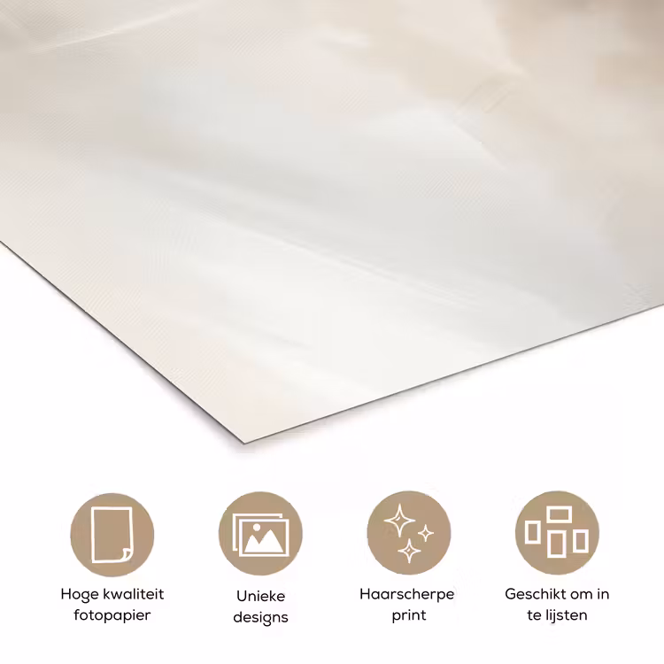 Bloem - Beige - Verf - Schaduw poster papier klein -closeup_NL
