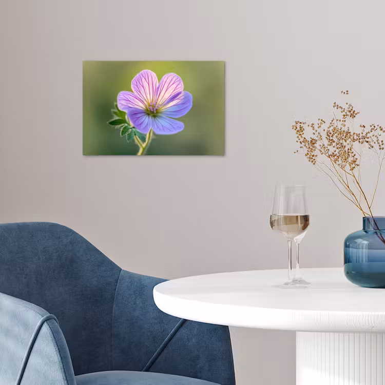 Bloem - Close up - Paars poster papier klein -sfeer3