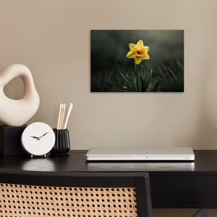 Bloem - Narcis - Gras - Geel poster papier klein -sfeer1