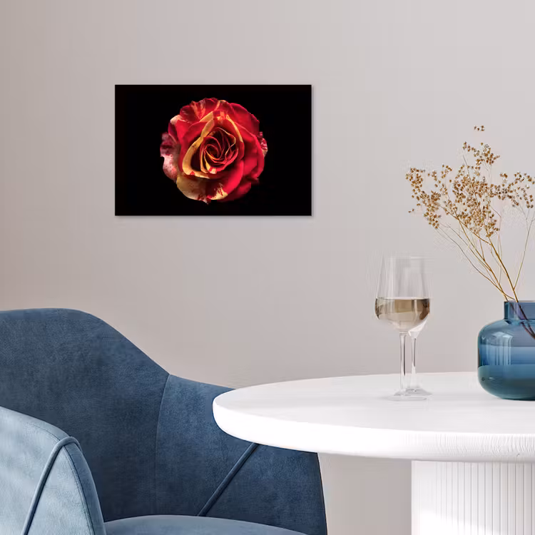 Bloem - Roos - Rood - Zwart poster papier klein -sfeer3