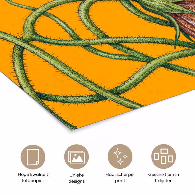 Poster - Bloemen - Botanisch - Geel - Bloemen - Botanisch - Geel poster papier klein
