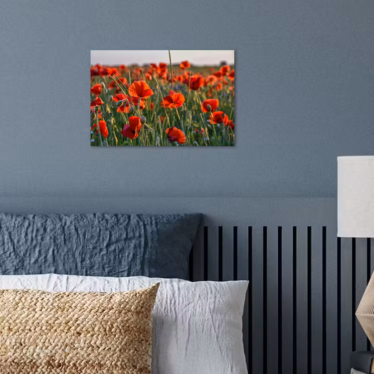 Bloemen - Klaprozen - Natuur - Rood poster papier klein -sfeer2