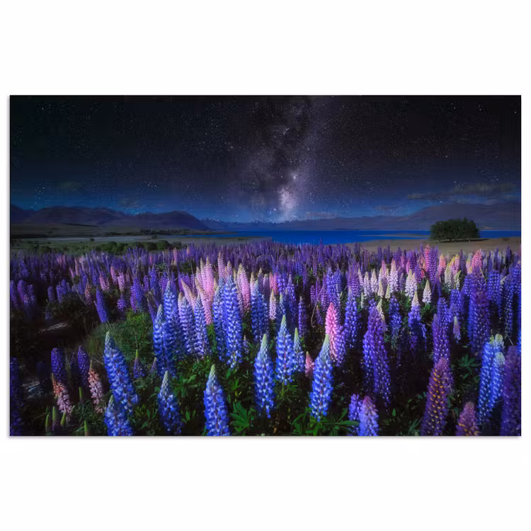 Bloemen - Nacht - Lupine - Sterrenhemel - Paars - Natuur poster papier klein -3d
