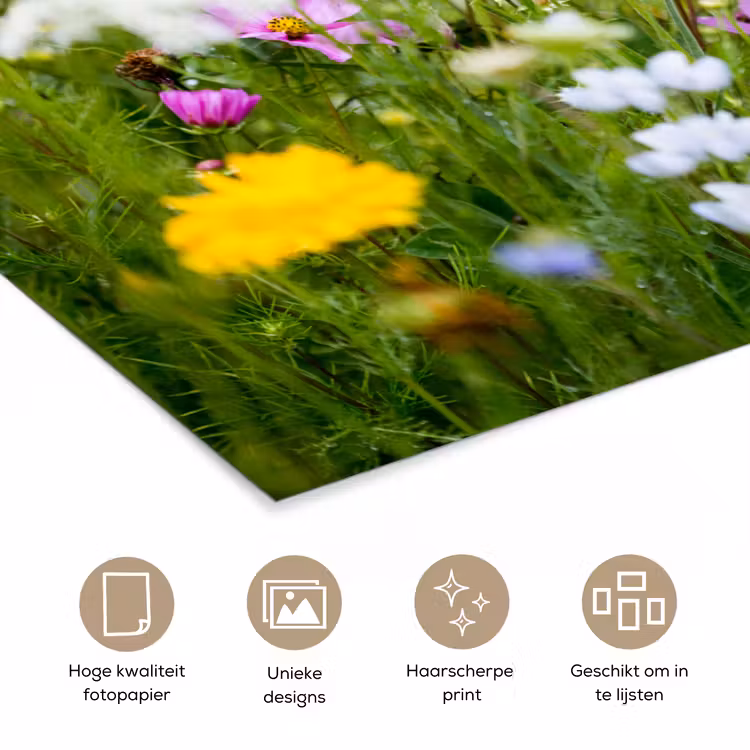 Bloemen - Natuur - Groen - Gras - Paars - Wit poster papier klein -closeup_NL