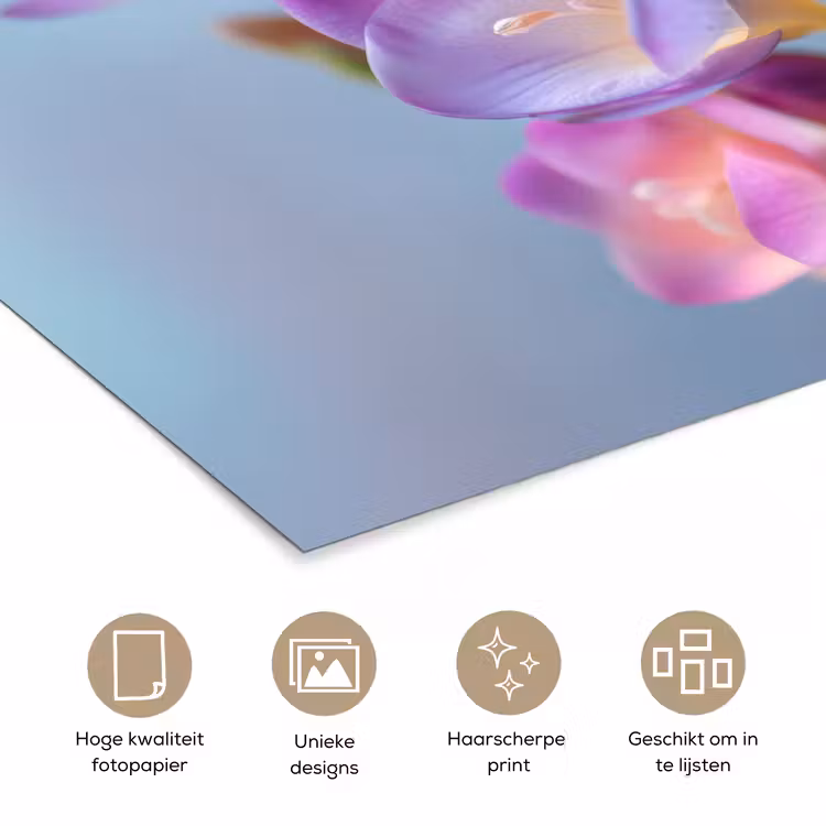 Bloemen - Paars - Overloop - Meeldraden poster papier klein -closeup_NL