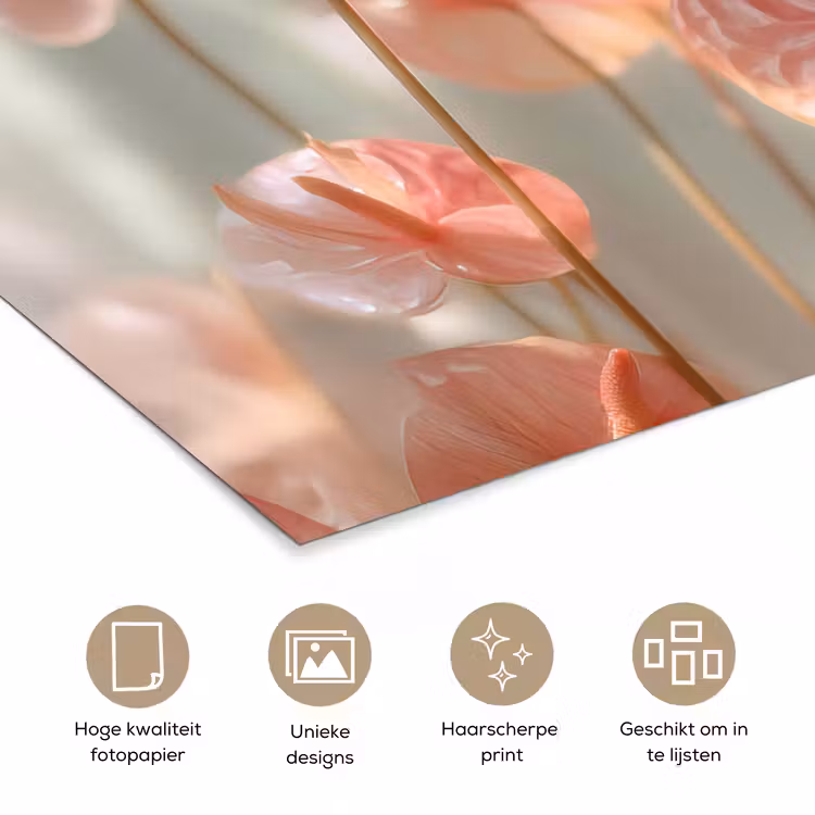 Bloemen - Stelen - Roze - Schaduw poster papier klein -closeup_NL