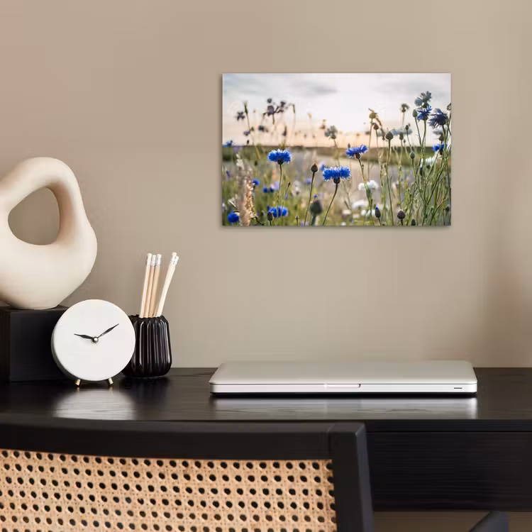 Bloemen - Zomer - Korenbloem - Blauw - Zon - Wolken poster papier klein -sfeer1