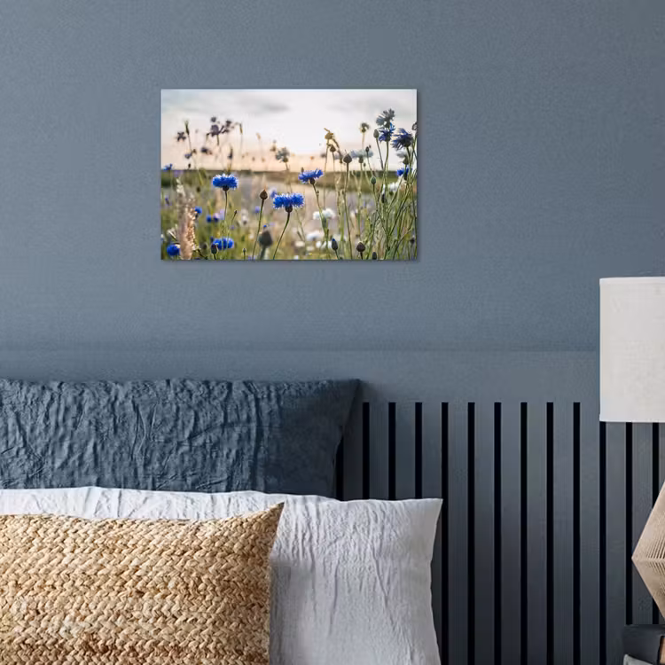 Bloemen - Zomer - Korenbloem - Blauw - Zon - Wolken poster papier klein -sfeer2