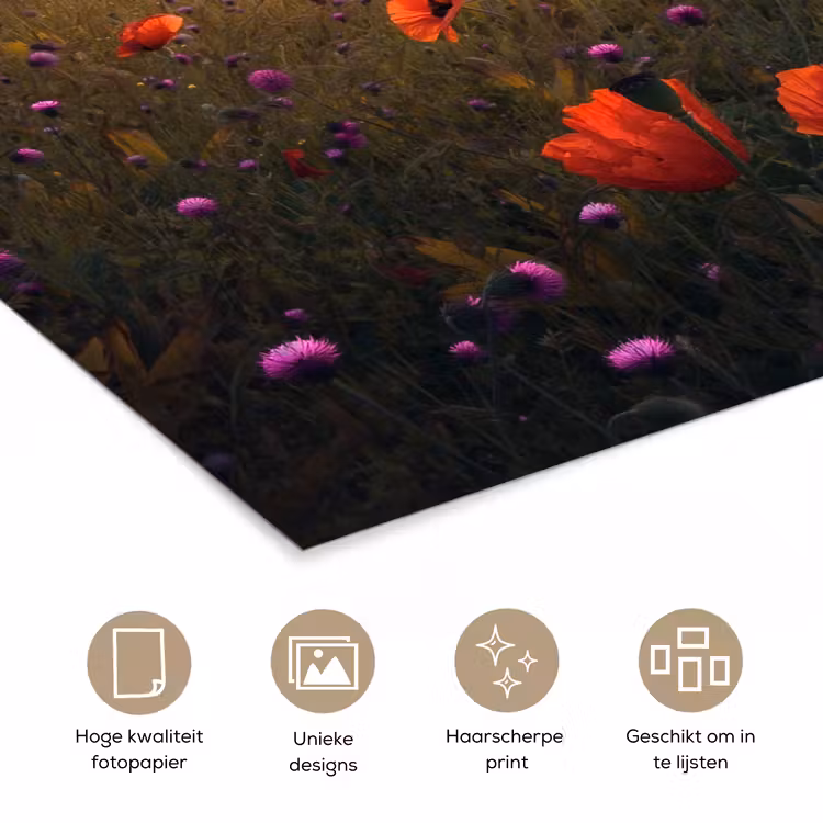 Bloemenveld - Gras - Bloemen - Planten - Zonsondergang - Oranje poster papier klein -closeup_NL