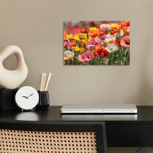 Bloemenveld - Klaprozen - Kleurrijk poster papier klein -sfeer1