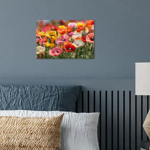 Bloemenveld - Klaprozen - Kleurrijk poster papier klein -sfeer2