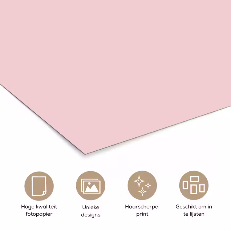 Blush - Pink - Roze poster papier klein 62 -closeup_NL