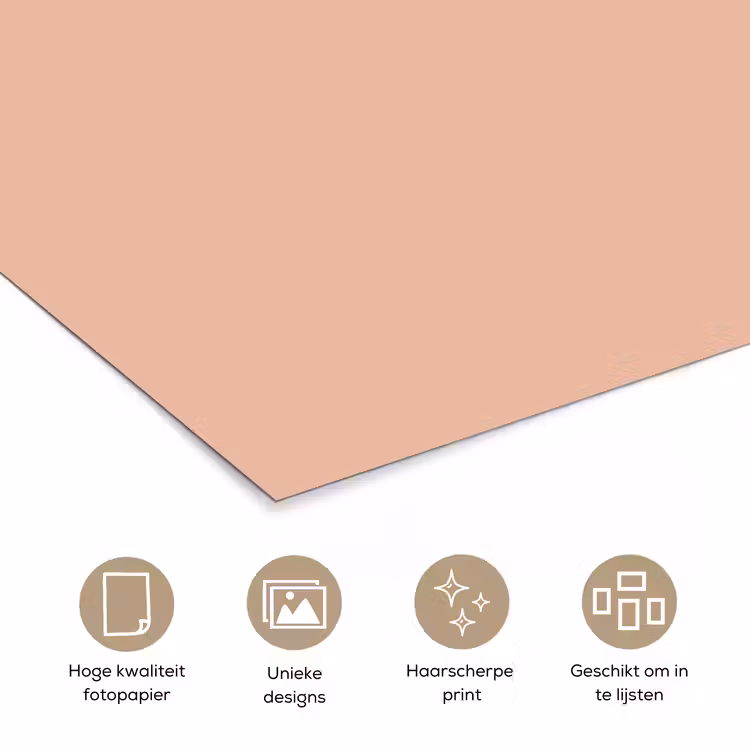 Blush - Terracotta - Nude poster papier klein 62 -closeup_NL