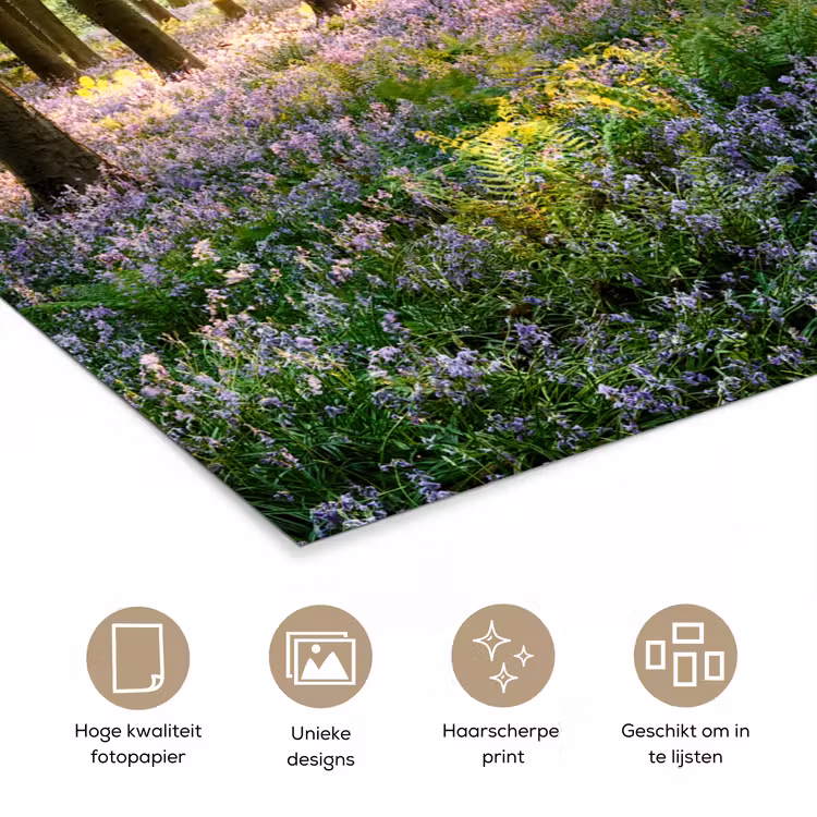 Bos - Bloemen - Lavendel - Zon - Paars - Natuur poster papier klein -closeup_NL