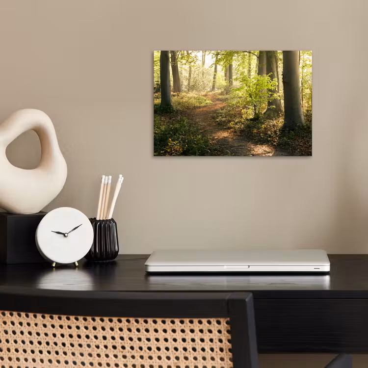 Bos - Bomen - Pad - Zon - Planten - Bladeren - Natuur poster papier klein -sfeer1