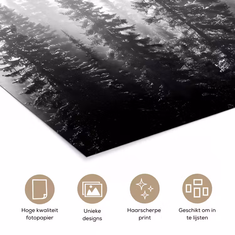 Bos - Mist - Winter - Monochroom - Natuur poster papier klein -closeup_NL