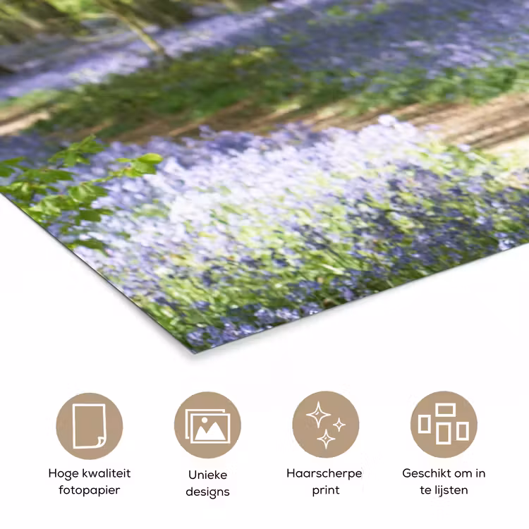 Bos - Pad - Bloemen - Paars - Groen - Natuur poster papier klein -closeup_NL