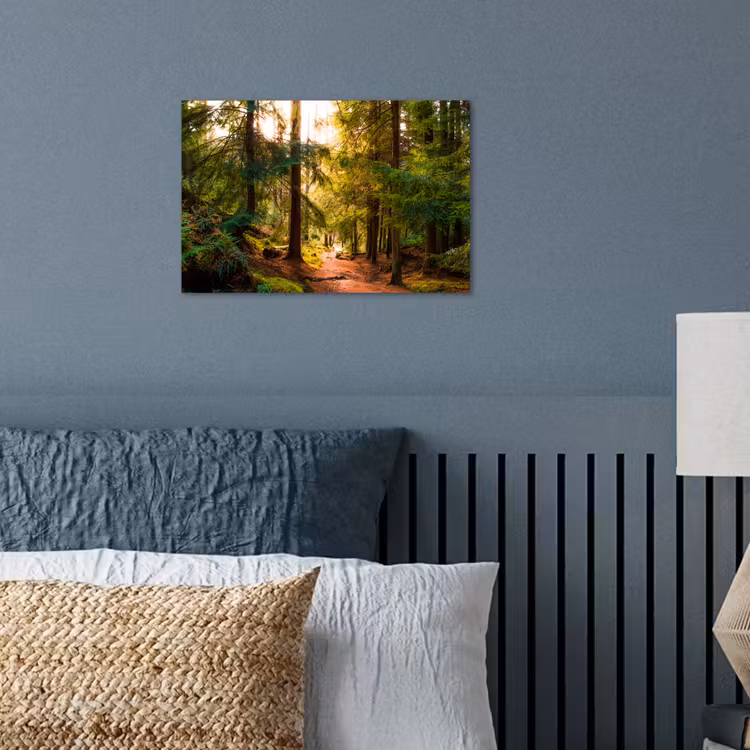 Bos - Pad - Bomen - Groen - Zon - Natuur poster papier klein -sfeer2