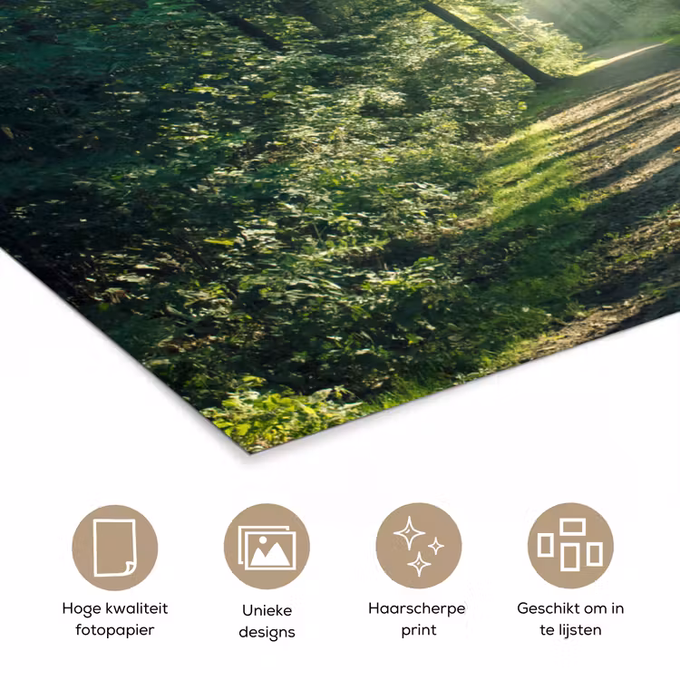 Bos - Pad - Zon - Bomen - Groen - Natuur poster papier klein -closeup_NL