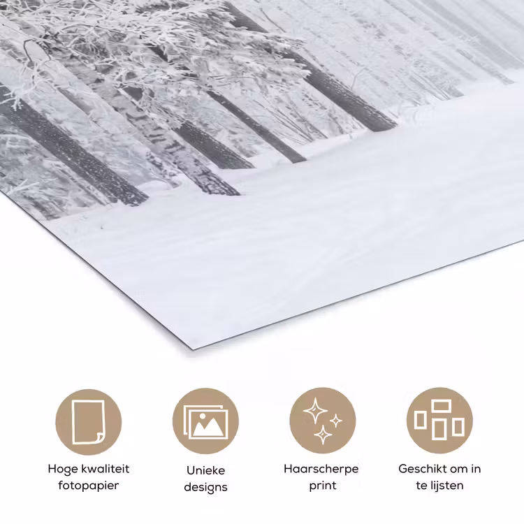 Bos - Sneeuw - Pad - Winter - Stilte poster papier klein -closeup_NL