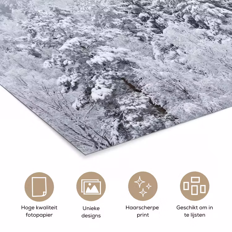 Bos - Sneeuw - Winter - Natuur - Wit poster papier klein -closeup_NL