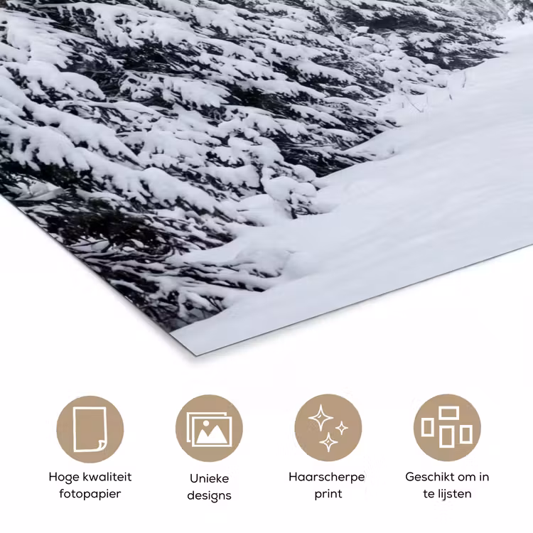 Bos - Winter - Sneeuw - Pad - Natuur poster papier klein -closeup_NL
