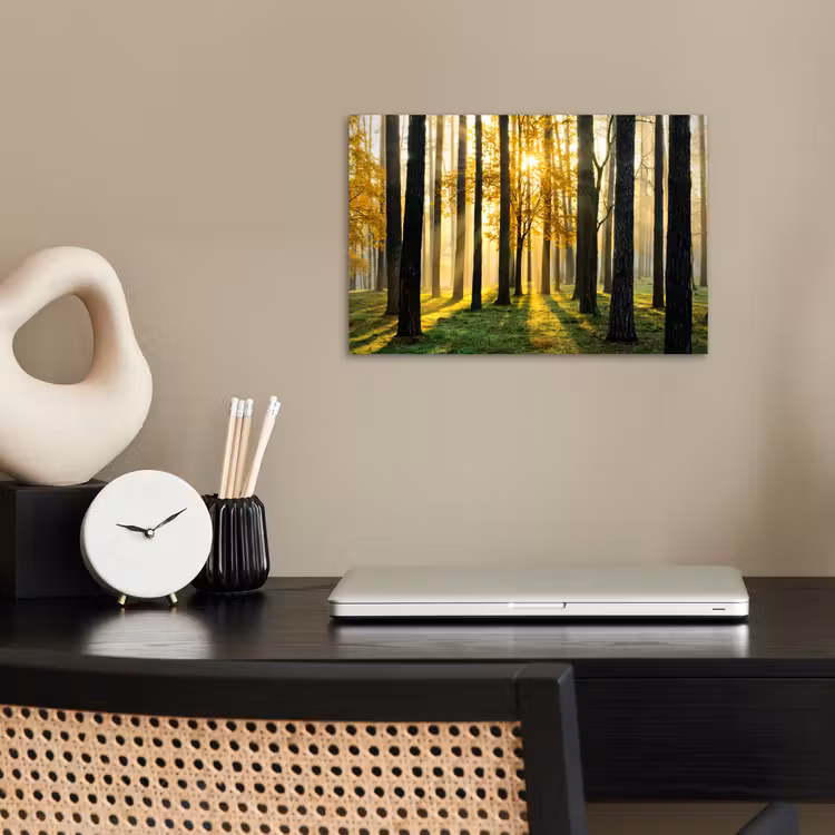 Bos - Zon - Bomen - Gras - Landschap  - Natuur poster papier klein -sfeer1