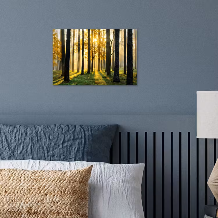 Bos - Zon - Bomen - Gras - Landschap  - Natuur poster papier klein -sfeer2