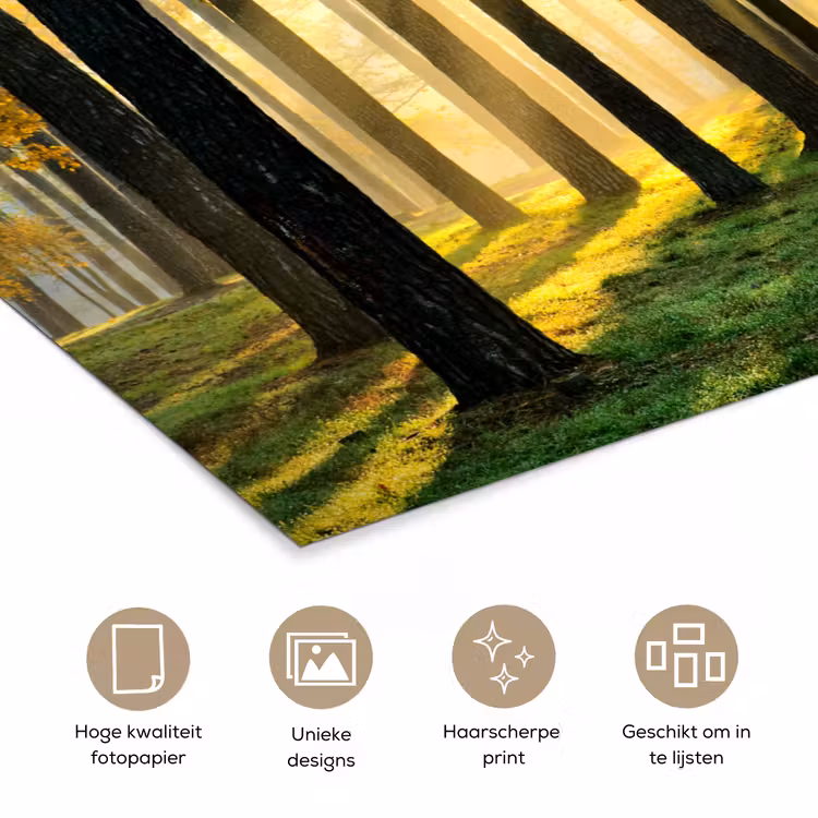 Bos - Zon - Bomen - Gras - Landschap  - Natuur poster papier klein -closeup_NL