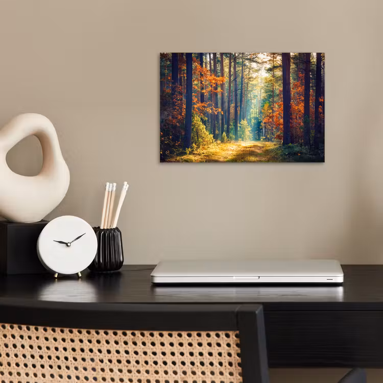 Bos - Zon - Natuur - Herfst poster papier klein -sfeer1
