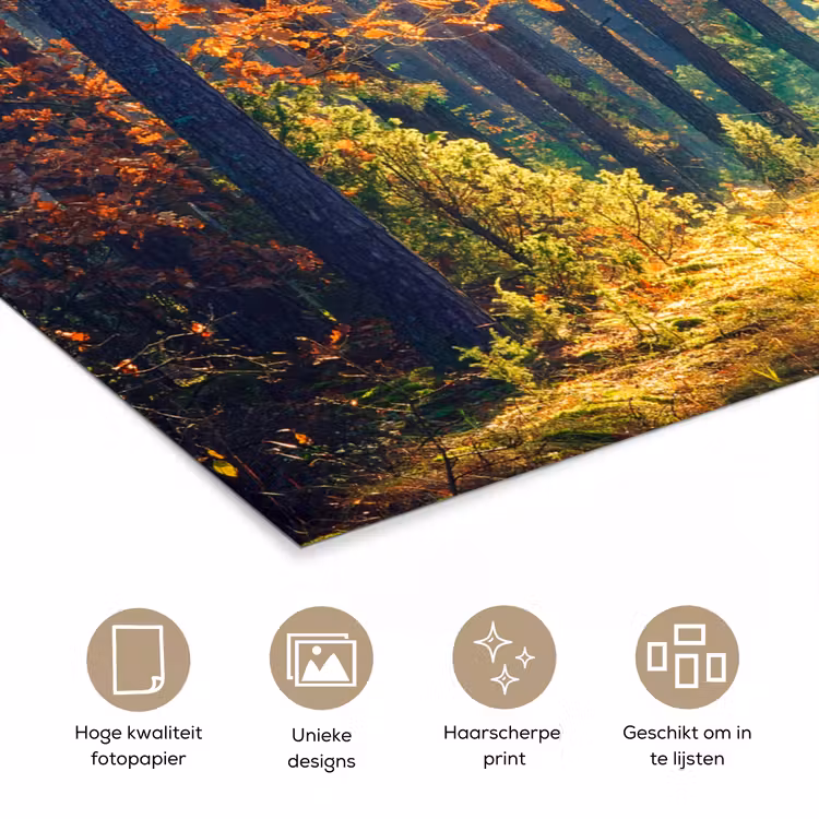 Bos - Zon - Natuur - Herfst poster papier klein -closeup_NL