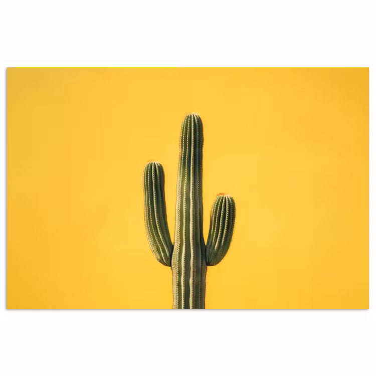 Cactus - Groen - Minimalistisch poster papier klein -3d