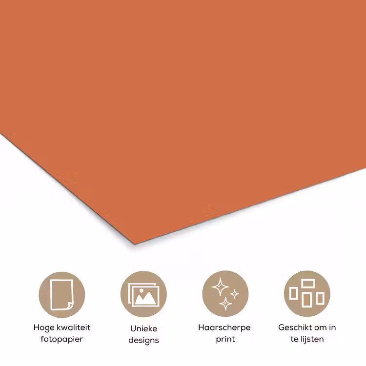 Classic - Terracotta - Oranje poster papier klein 62 -closeup_NL