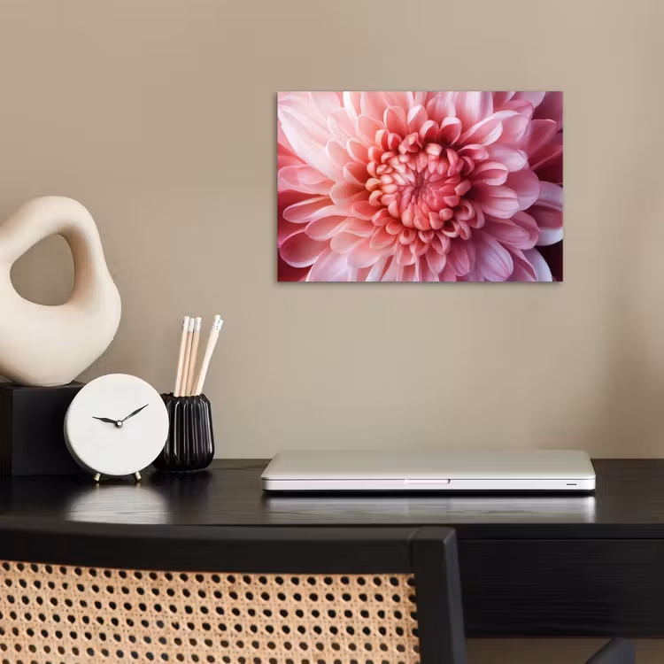 Dahlia - Bloem - Close up - Roze poster papier klein -sfeer1